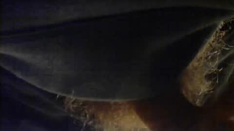 sjim368 online show from 12/02/25, 01:17