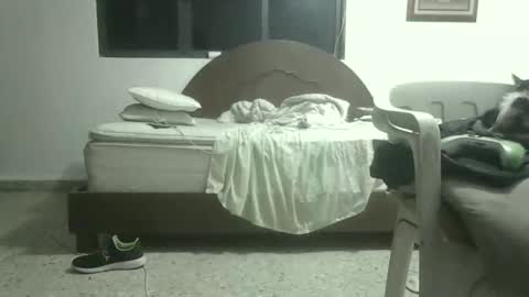 Snapshot of skanky_little_dolls chatting on 11/27/25, 08:05 skanky_little_dolls online show from 11/27/25, 08:05