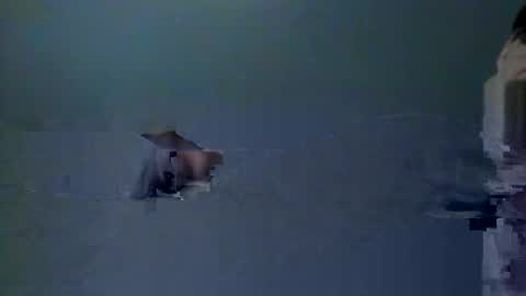 skeeter4fun73 online show from 12/20/25, 01:40