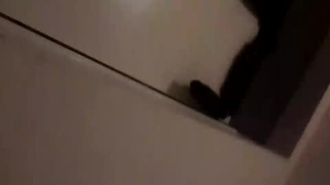 skimmer70z online show from 09/14/25, 08:30