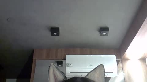 skinnykittencam online show from 09/28/25, 05:57