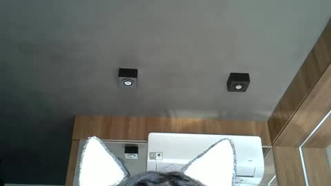 skinnykittencam online show from 10/17/25, 06:43