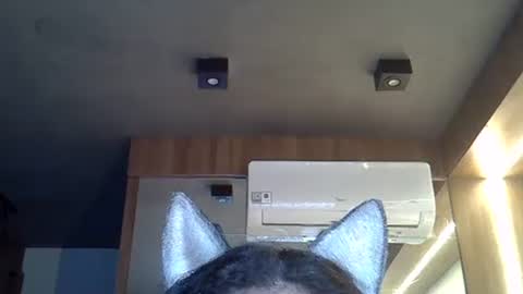 skinnykittencam online show from 11/10/25, 08:46