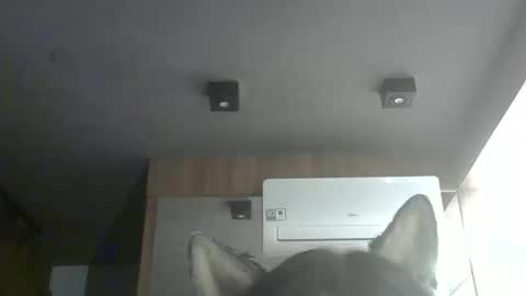 skinnykittencam online show from 02/04/26, 12:38