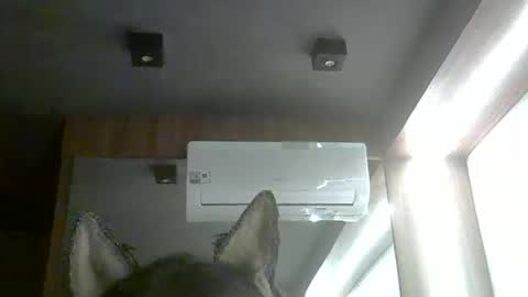 skinnykittencam online show from 02/05/26, 10:14