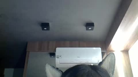 skinnykittencam online show from 03/02/26, 11:06