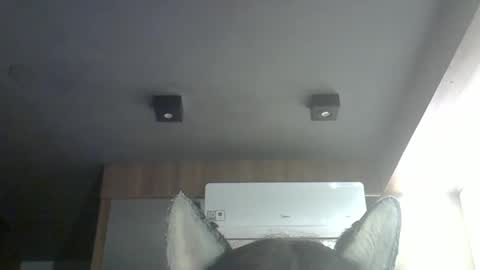 skinnykittencam online show from 03/14/26, 09:26