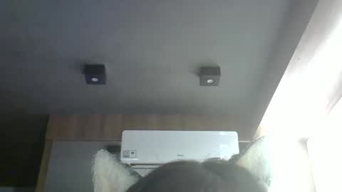 skinnykittencam online show from 03/24/26, 05:51