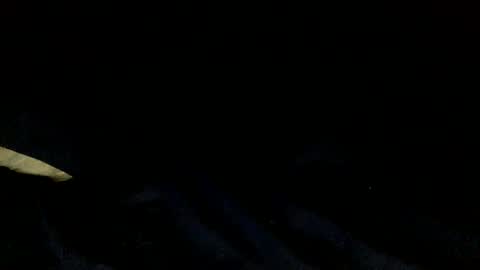 skinnypole6 online show from 12/04/24, 06:06