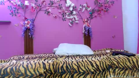 sofia online show from 02/24/26, 01:31