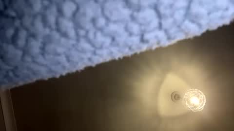 skuzzy25 online show from 12/02/24, 07:47