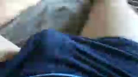 skyblu2031 online show from 07/13/26, 05:38