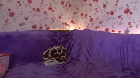 Snapshot of skysupernova chatting on 02/24/25, 06:05 Sky online show from 02/24/25, 06:05