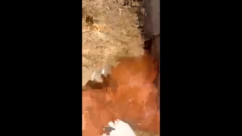 Snapshot of slapaho666 chatting on 10/03/25, 03:03 slapaho666 online show from 10/03/25, 03:03