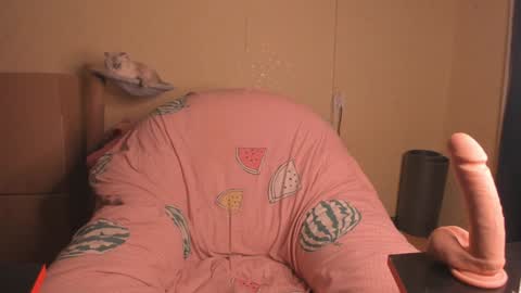 Snapshot of slaty_sugar chatting on 01/20/25, 02:46 Nika online show from 01/20/25, 02:46