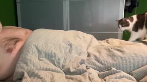 slice5 online show from 04/04/26, 08:34