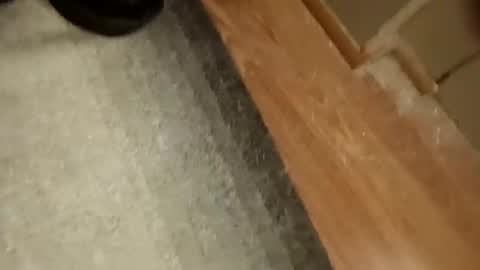 slickdog58 online show from 09/19/25, 07:47