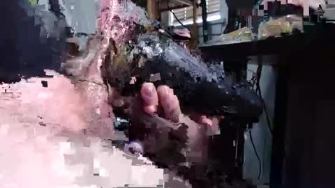 Snapshot of sliderguy699 chatting on 12/15/24, 04:59 sliderguy699 online show from 12/15/24, 04:59