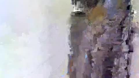 slim_me online show from 04/15/26, 08:54