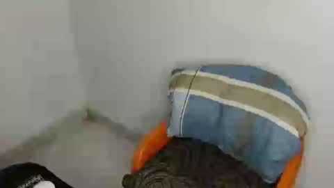 Bella online show from 07/19/26, 07:28