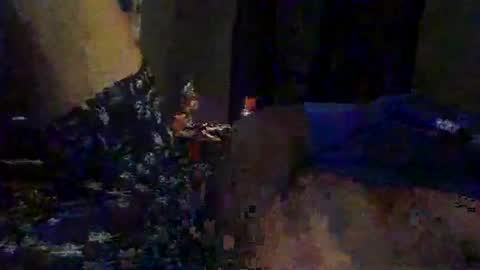 slimeguy315 online show from 09/20/25, 03:40