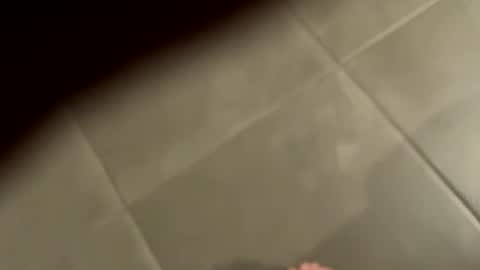 Snapshot of slimlord90 chatting on 01/25/25, 01:08 slimlord90 online show from 01/25/25, 01:08