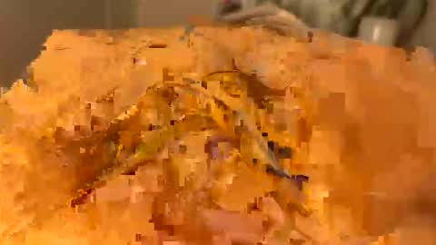 slipmytip online show from 12/05/25, 11:08