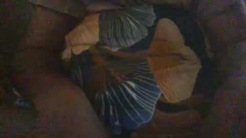 slothslav online show from 12/18/24, 12:40