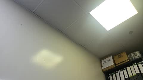 slothslav online show from 10/28/25, 02:04