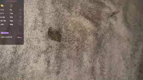 Slowi online show from 07/01/26, 06:59