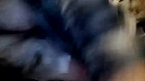 slutbreeze101 online show from 02/23/26, 03:59