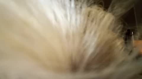 Fun time online show from 04/04/26, 11:51