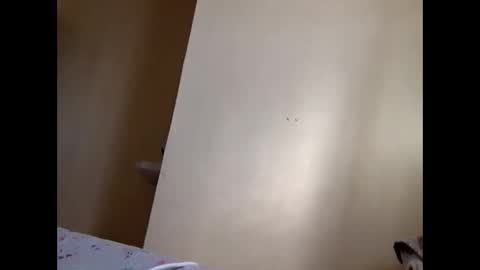 Skillibengisaadboy online show from 06/04/26, 05:02