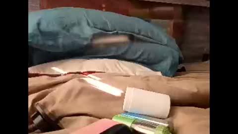 Nastyguurl online show from 03/30/26, 01:56