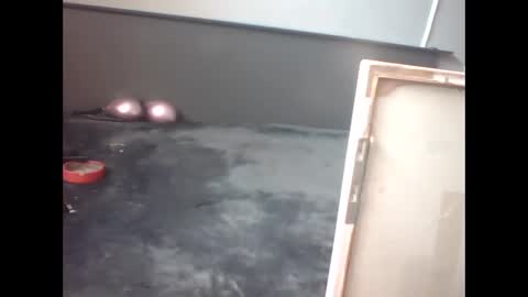 slutviki online show from 02/15/26, 10:14