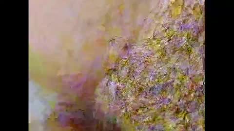 Small Hairy Uncut online show from 02/26/25, 10:09