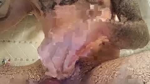 Snapshot of smallone8825 chatting on 03/10/25, 06:27 smallone8825 online show from 03/10/25, 06:27