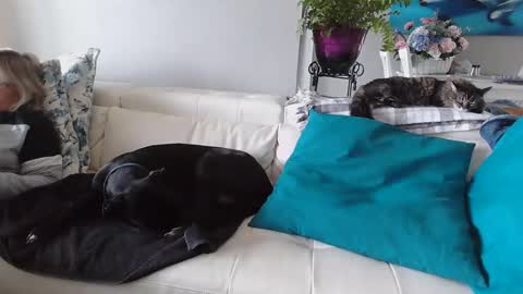 Daddy online show from 01/06/25, 05:16