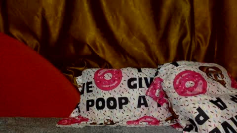 Noname online show from 03/02/26, 03:19