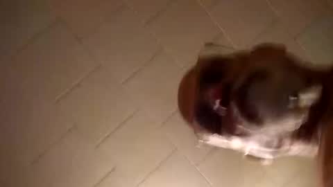 Smithology online show from 12/19/24, 01:18