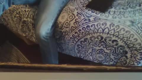 Smithology online show from 02/20/25, 10:26