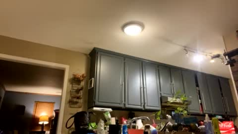 smokeymt420 online show from 02/09/25, 09:37