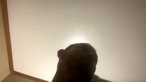 smokeymt420 online show from 03/08/25, 06:54