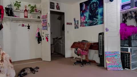 Big Dawg online show from 11/11/25, 02:39