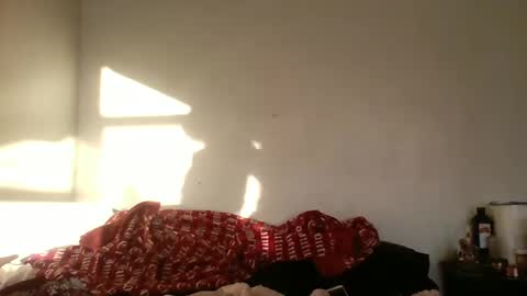 Bambi--Vodka online show from 12/22/24, 09:09