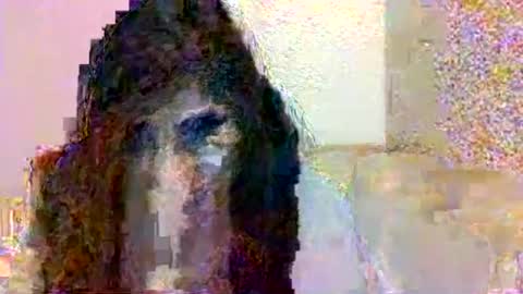 smurdle online show from 10/25/25, 03:29