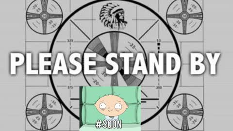 kitten online show from 12/01/24, 06:19