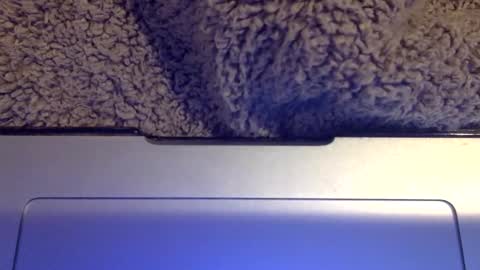 snowpapi79260 online show from 01/21/25, 08:52