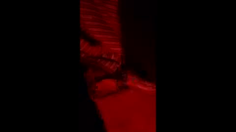 snqhephncxpu online show from 03/11/26, 05:02
