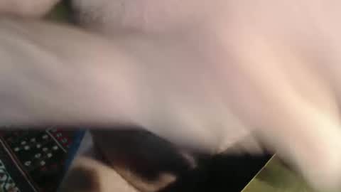 snudge432 online show from 01/04/25, 04:22